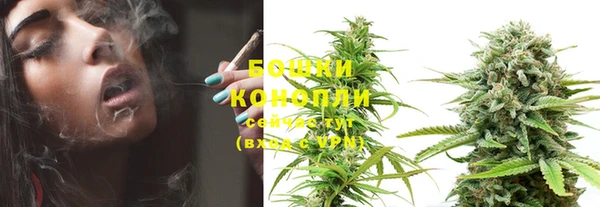 PSILOCYBIN Сосновоборск
