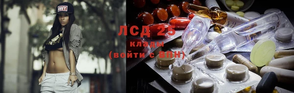СК Сосновый Бор