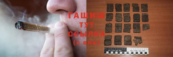 СК Сосновый Бор