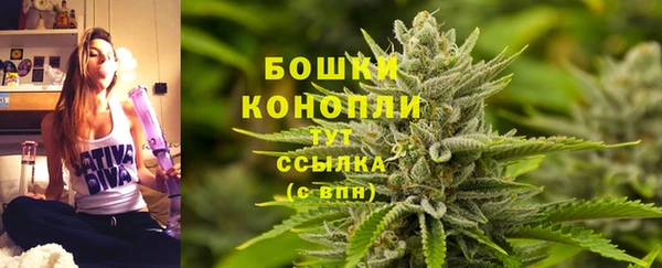 PSILOCYBIN Сосновоборск